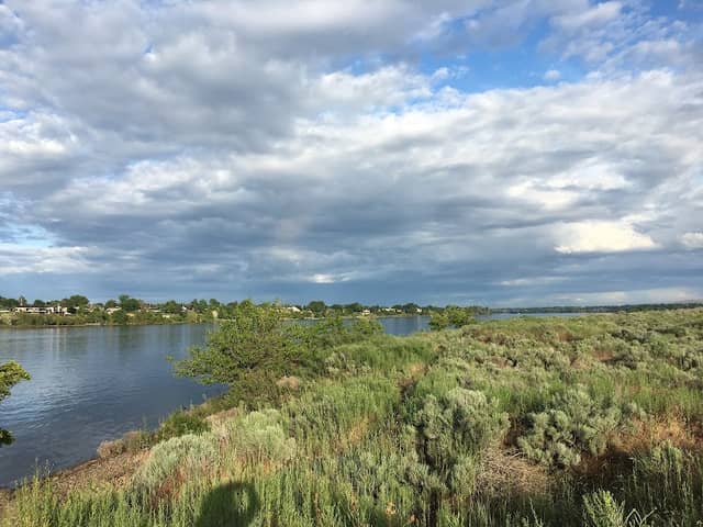 Riverview Natural Preserve - Image 3
