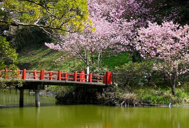 Kameyama Park - Image 1