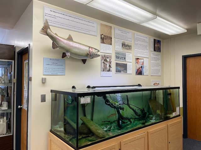 Museum Of Natural History UNR - Image 1