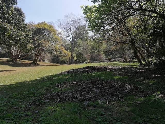 Wylie Park - Image 1