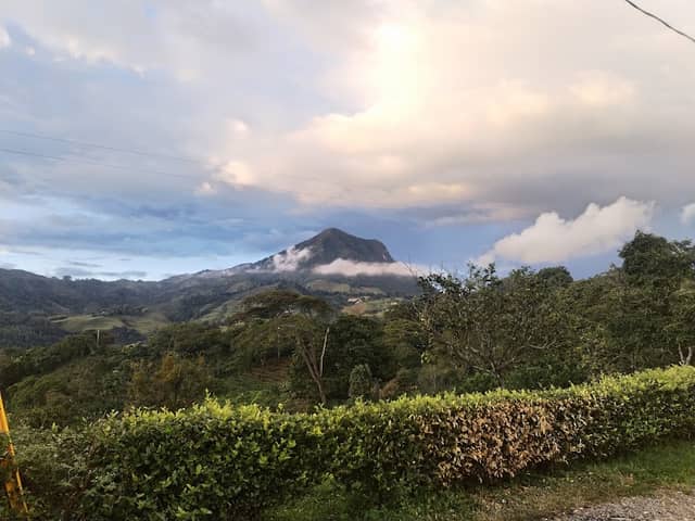 Murrapal - Image 1