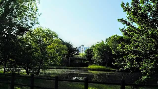 Urban Mirai Park - Image 2