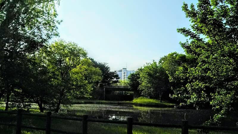 Urban Mirai Park - Image 2