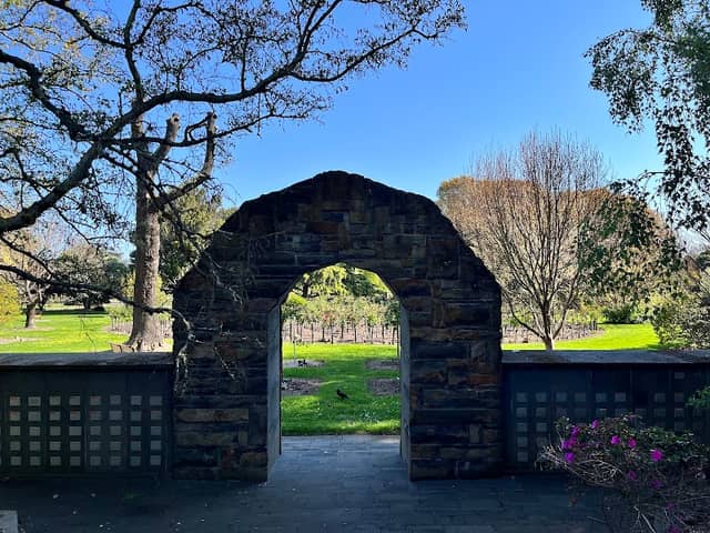 Pittosporum Memorial Garden - Image 1