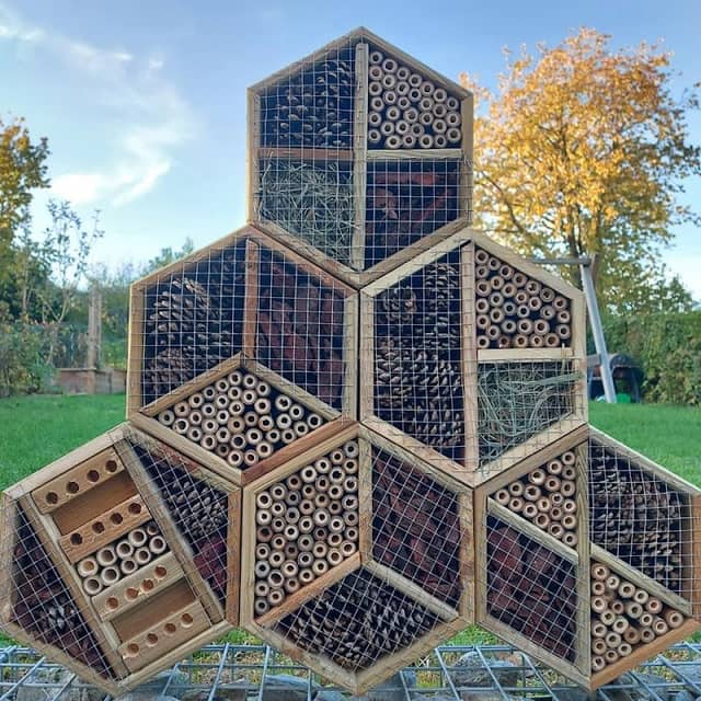 Le potager de Sim - Image 2