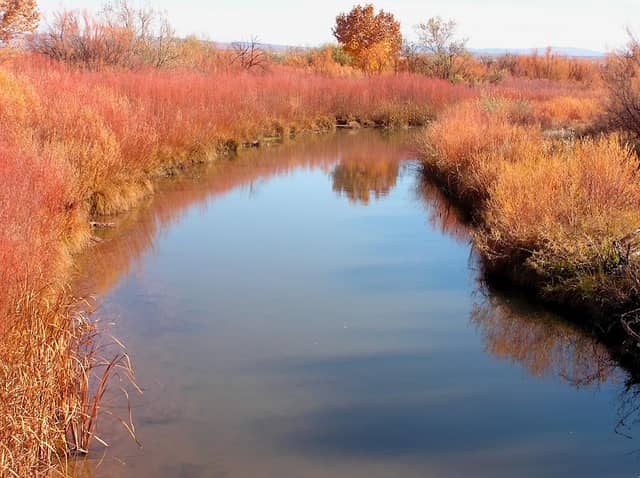 Bernardo Wildlife Area - Image 2