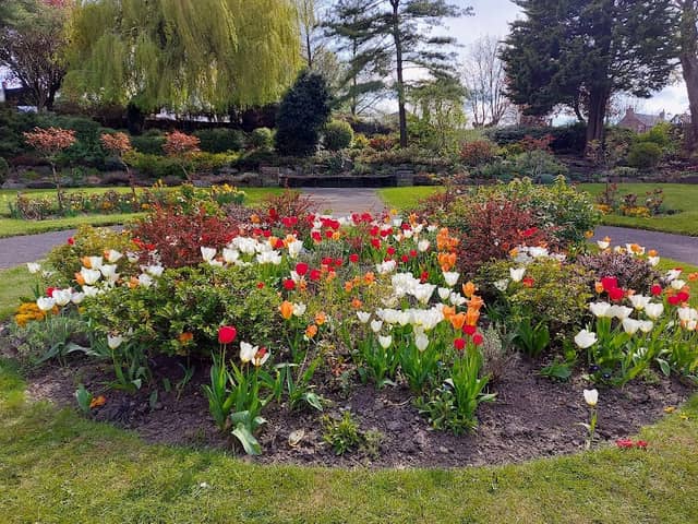 Wilthorpe Park - Image 2