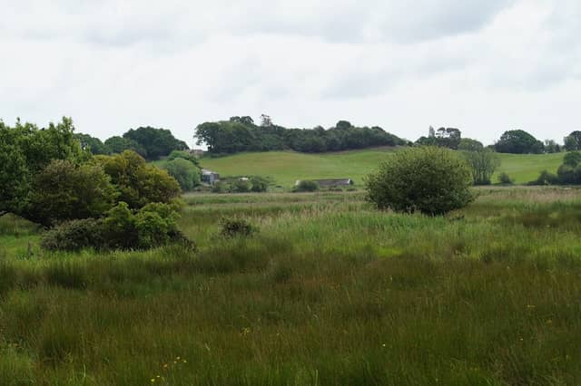 Priory Meadows - Image 2