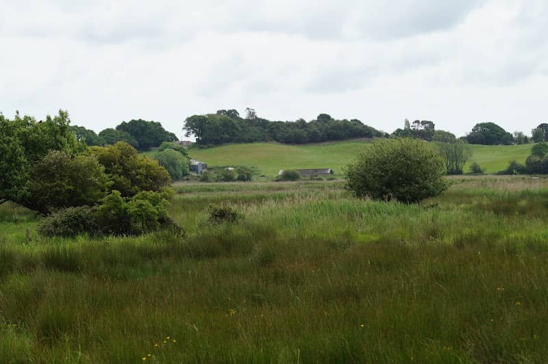 Priory Meadows - Image 2
