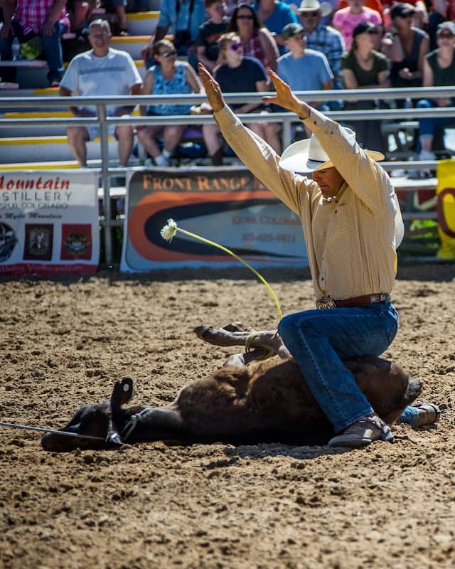 Elizabeth Rodeo Association - Image 1