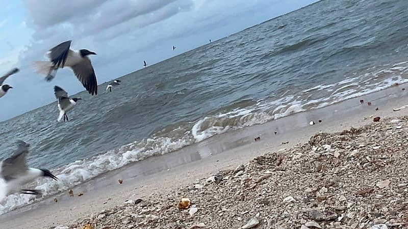 Magnolia Beach Boat Launch - Image 1