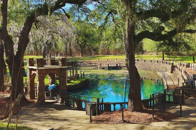 Radium Springs Garden - Image 1