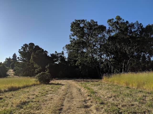 Esther Clark Park - Image 2