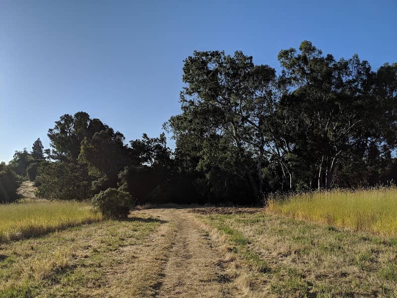 Esther Clark Park - Image 2