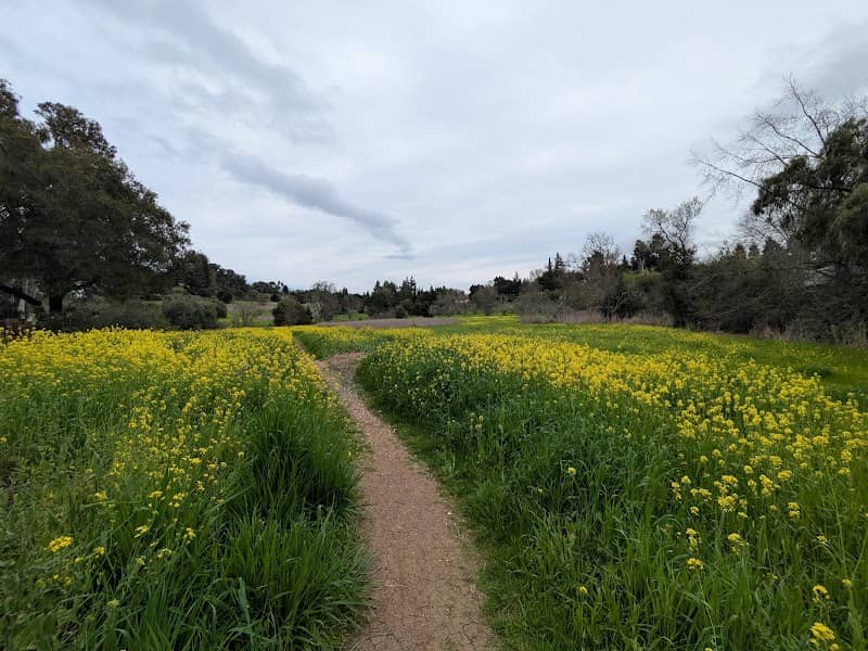 Esther Clark Park - Image 1