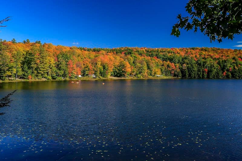 Half Moon Pond State Park - Image 1