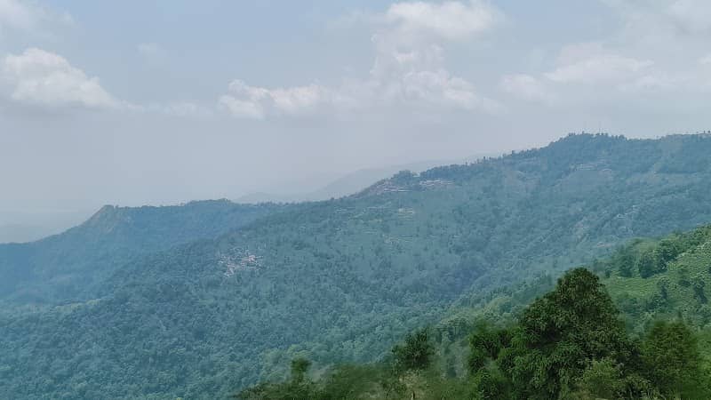 Kurseong View Point - Image 1