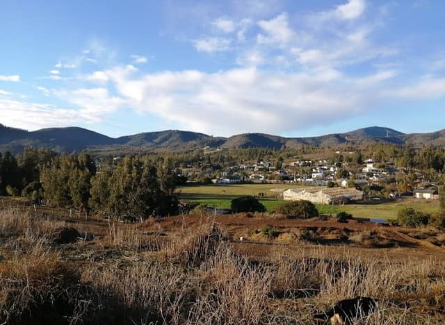 Bosque Maitencillo - Image 1