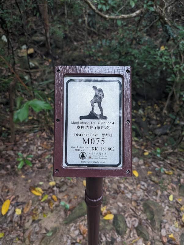 Ma On Shan Country Park - Image 3