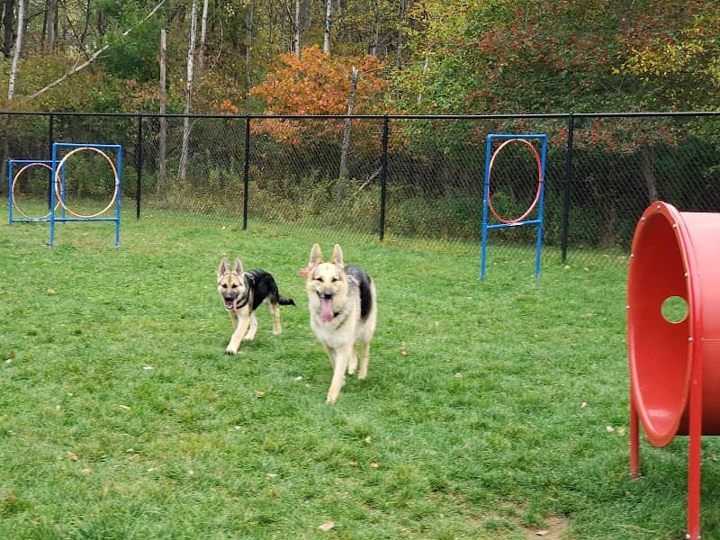 Dog Park - Image 1