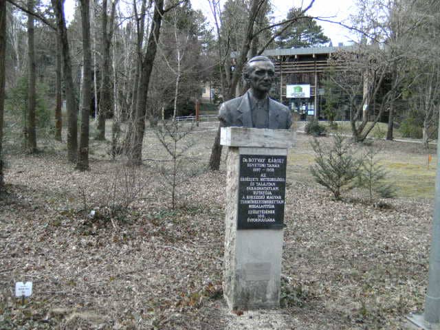 Dr. Botvay Károly szobor - Image 1