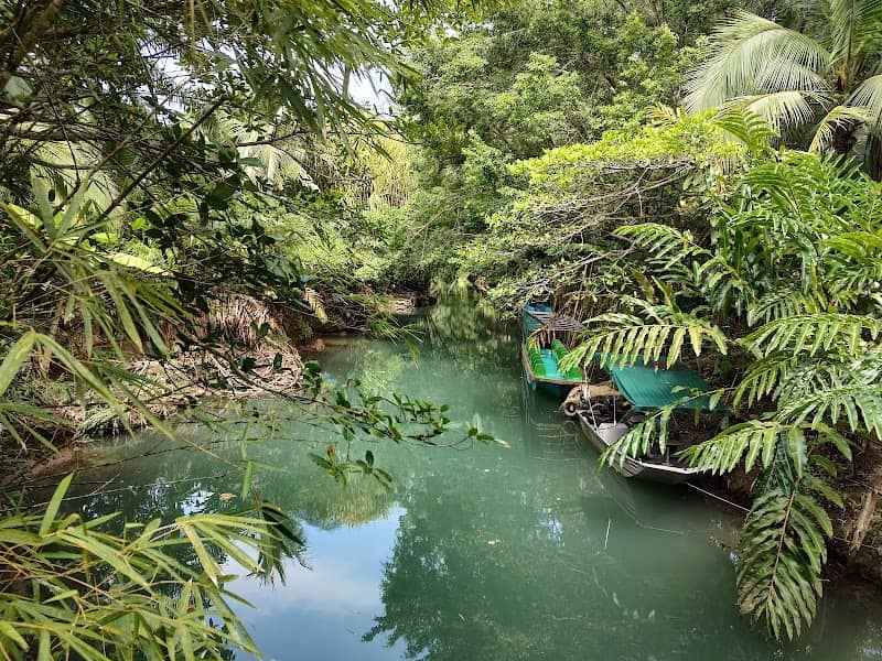 Mangrove Boat Tour - Image 2