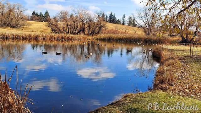 Mylar Park - Image 2