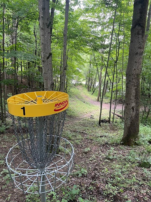 Disc Golf - Image 2