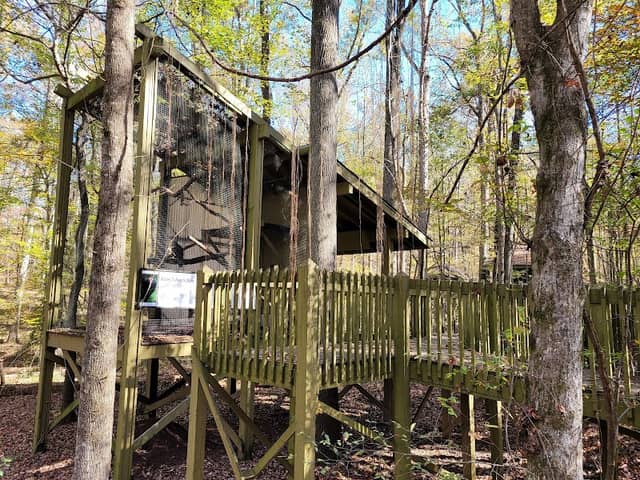Treetop Nature Trail of Alabama Wildlife Center - Image 2