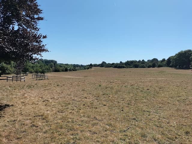 Hungerford Common - Image 1