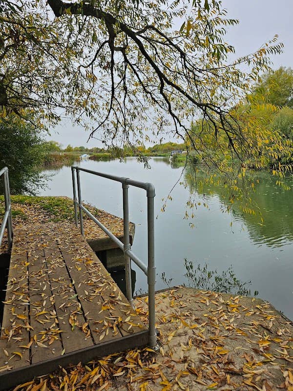 Eynsham Lock, Toll Bridge - Image 2