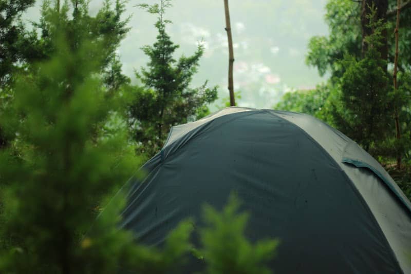 Campfire on Top - Image 1