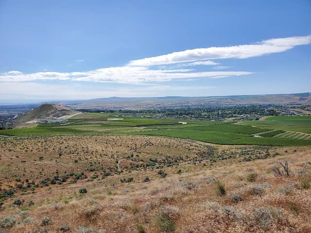 Badger Mountain Centennial Preserve - Image 2