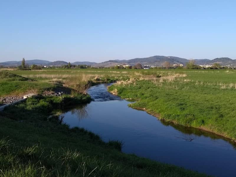 Westliche Abzweigung in das renaturierte Weschnitzbecken - Image 1
