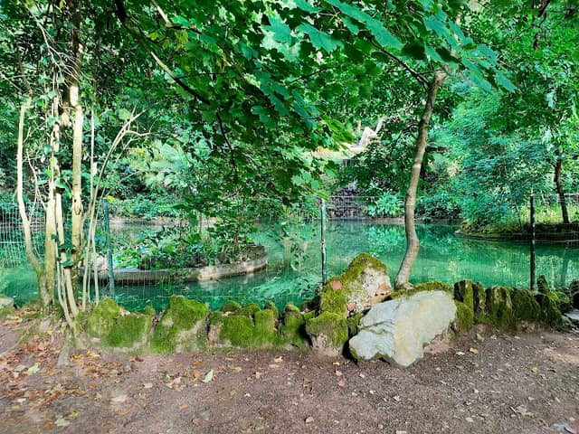 Lago Pequeno - Image 2
