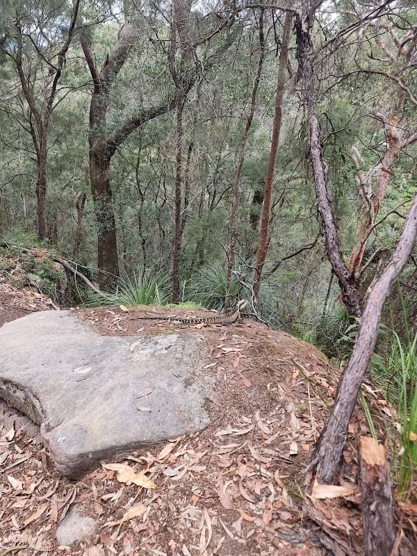 Fiddens Wharf Walking Track - Image 1