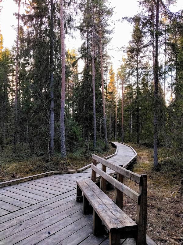 Huhja Trail - Image 1