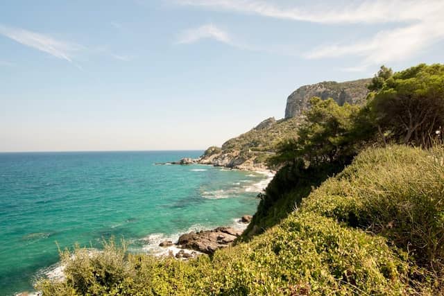 Viewpoint - Image 1