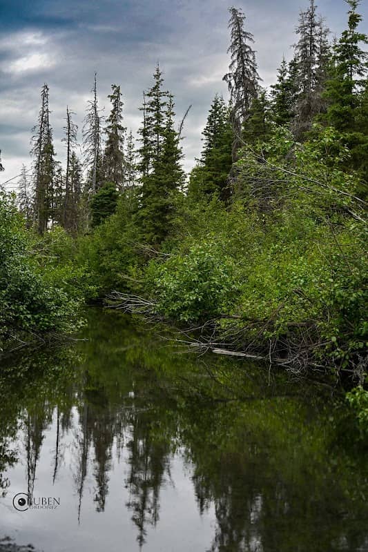 Chugach State Park North Fork Eagle River Alaska State Parks - Image 1