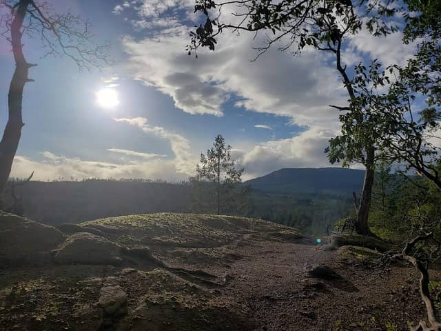Extension Ridge Trail - Image 3