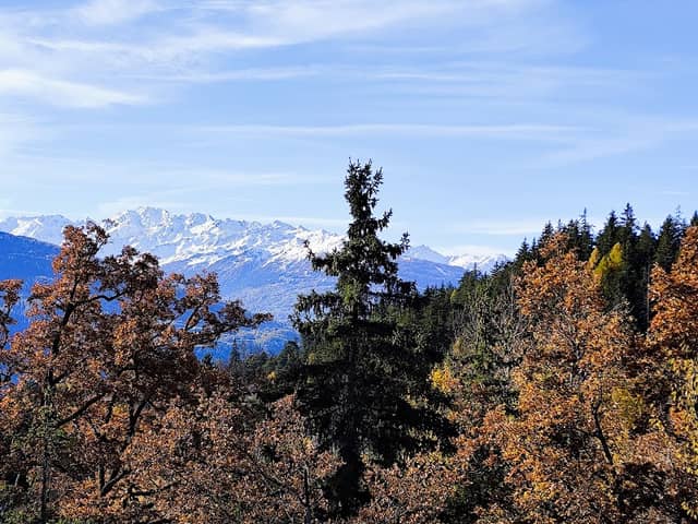 Point de vue - Image 1