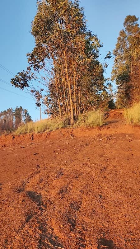 Mirador Cerro Mariposa - Image 1