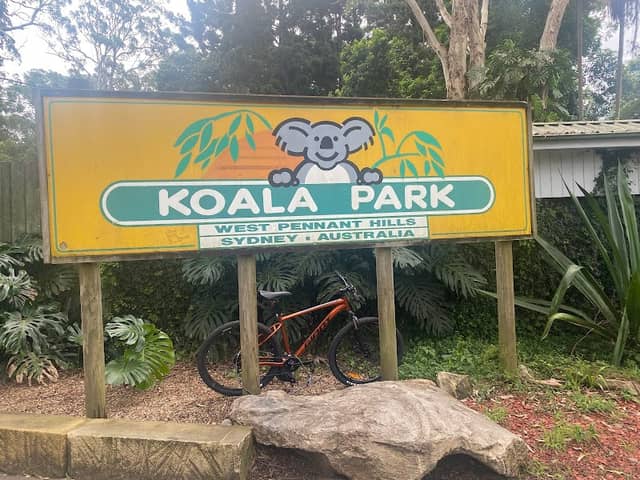Koala Park Sanctuary Sydney - Image 1