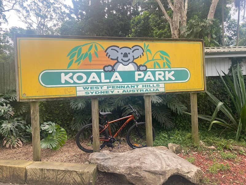 Koala Park Sanctuary Sydney - Image 1