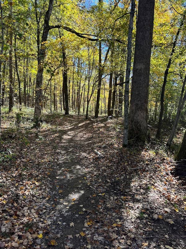 Group Camp II - Montgomery Bell State Park - Image 1