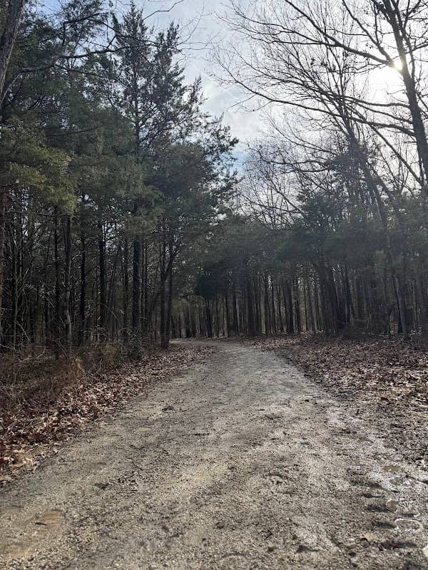 Compton Hollow Conservation Area - Image 1