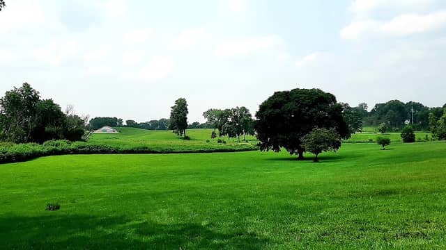 Reuben Aldeen Park Lake - Image 2