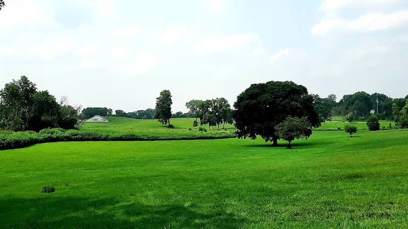 Reuben Aldeen Park Lake - Image 2