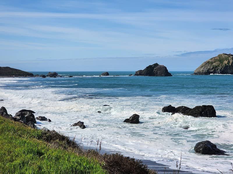 Del Norte Coast Redwoods State Park - Image 1