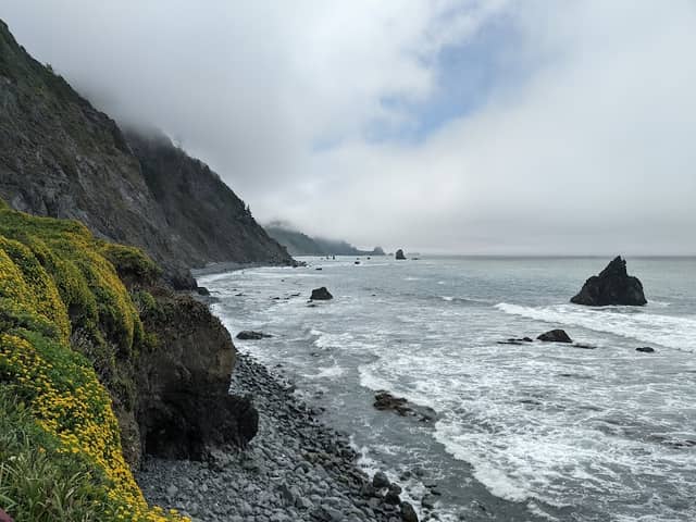 Del Norte Coast Redwoods State Park - Image 3